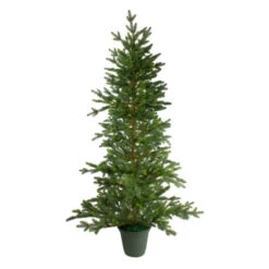 Northlight 6' Potted Noble Pine Slim Artificial Christmas Tree - Unlit