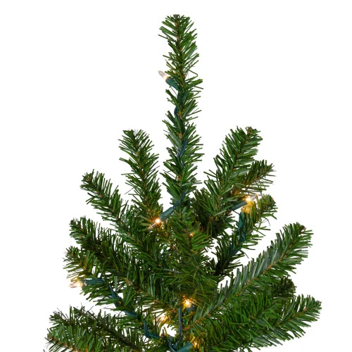 Northlight 6.5' Pre-Lit Canadian Pine Artificial Pencil Christmas Tree - Clear Lights 2 Northlight 6.5' Pre-Lit Canadian Pine Artificial Pencil Christmas Tree - Clear Lights - Image 2