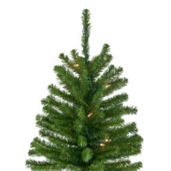 Northlight 6' Pre-Lit Pencil Alpine Artificial Christmas Tree, Clear Lights 9 Northlight 6' Pre-Lit Pencil Alpine Artificial Christmas Tree, Clear Lights -Christmas Decoration Store northlight v27436 2 53283.1665610430