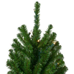 Northlight Set Of 3 Pre-Lit Slim Alpine Artificial Christmas Trees 6' - Clear Lights -Christmas Decoration Store northlight v27437 2updated 55998.1665610744