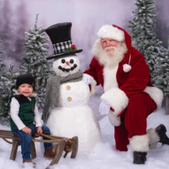 Northlight Set Of 3 Flocked Alpine Artificial Christmas Trees - Unlit -Christmas Decoration Store northlight v27444 cxpic 83078.1676369311