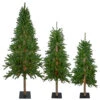 Northlight Set Of 3 Pre-Lit Slim Alpine Artificial Christmas Trees 6' - Clear Lights