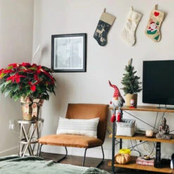 Northlight 24" Gray And Red Hanging Leg With Polka-Dot Snow Cap Smiling Gnome 9 Northlight 24" Gray And Red Hanging Leg With Polka-Dot Snow Cap Smiling Gnome -Christmas Decoration Store northlight yj3628420a 3 cxpic 23625.1677579786