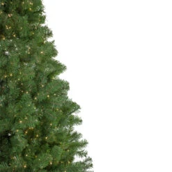 Northlight 7.5' Pre-lit Medium Deer River Spruce LED Artificial Christmas Tree - Warm White Lights 10 Northlight 7.5' Pre-lit Medium Deer River Spruce LED Artificial Christmas Tree - Warm White Lights -Christmas Decoration Store northlight z16062 2 43065.1587644175