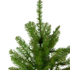 Northlight 10' Full Northern Pine Artificial Christmas Tree - Unlit 7 Northlight 10' Full Northern Pine Artificial Christmas Tree - Unlit -Christmas Decoration Store northlight z84652 2 59361.1664380277