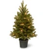 Christmas Central 3' Pre-lit Potted Jersey Fraser Fir Artificial Christmas Tree, White LED Lights