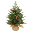Christmas Central 2' Pre-lit Potted Nordic Spruce Artificial Christmas Tree, Warm White LED Lights