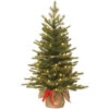 Christmas Central 3' Pre-lit Potted Nordic Spruce Artificial Christmas Tree, Warm White LED Lights